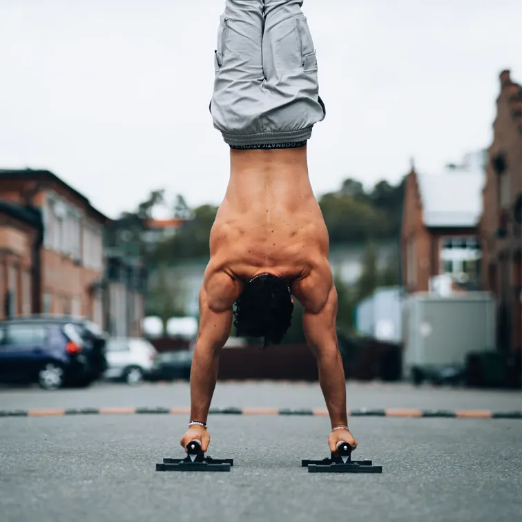 Handstand On Parallettes